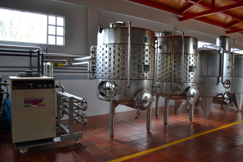 cave-LA TURBIE-min_wine_production_cantine_winery_drink_alcohol_vine_beverage-902036